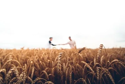 Commercial farmland under monitoring