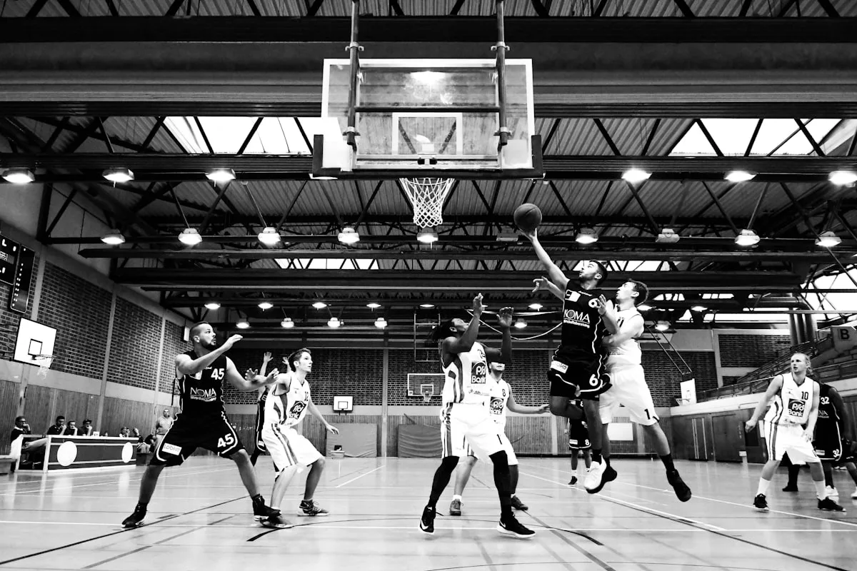 Professional FIBA Arena